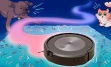 illustration of Roomba cleaning up pet hair in a living room