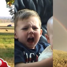 A composite of screenshots from viral videos.