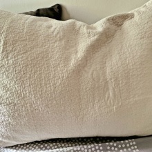 cream-colored pillow on a bed with other pillows