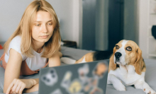 woman browsing on laptop next to dog