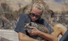 A blonde white woman cradles her cat after finding him in the aftermath of a wildfire in Lahaina.