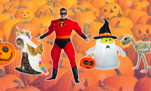 Collage of Halloween decorations and costumes on a jack-o-latern background