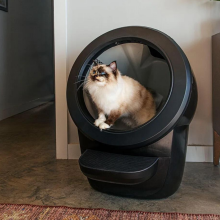 Cat sitting inside black Litter-Robot in room with furniture and rug