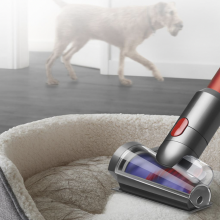 Red Dyson Outsize+ vacuum stick vacuuming a dog bed with a dog in the background