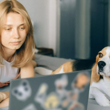 woman browsing on laptop next to dog
