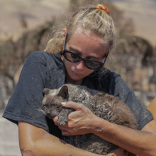 A blonde white woman cradles her cat after finding him in the aftermath of a wildfire in Lahaina.